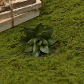 Artificial Succulent (Type 11)